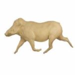 Warthog
