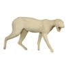 Bobcat Walking With Open Mouth - Thumbnail Image 2