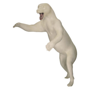 Black Bear Charging with Jaw Cup