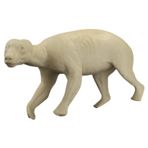 Sow Black Bear On All Four