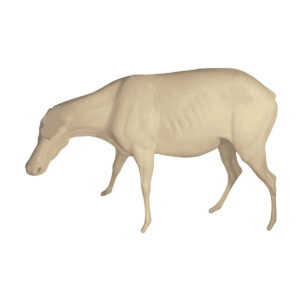 Bongo Cow Head Low