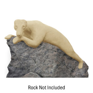 Black Bear Laying Down on Rock