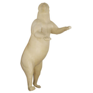 Grizzly Bear Standing Semi-Upright
