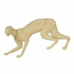 Lynx