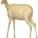 Chamois