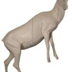 Ibex