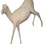 Ibex