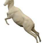 Ibex