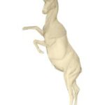 Ibex