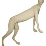 Lynx