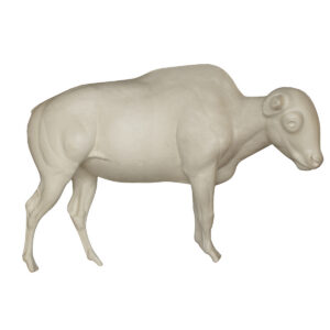 Buffalo Walking