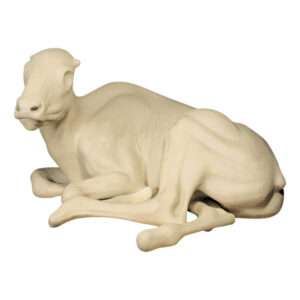 Buffalo Calf Laying Down