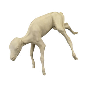 Buffalo Calf Bucking Legs
