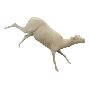 Dall Stone Sheep Coming Down Steep Jump