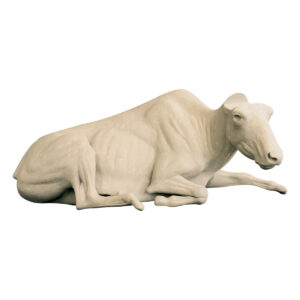 Buffalo Cow Laying Down