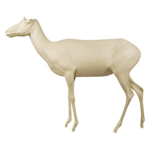 Antelope Standing