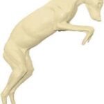 Coyote