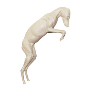 Coyote Leaping For Prey