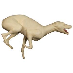 Coyote Running Open Mouth