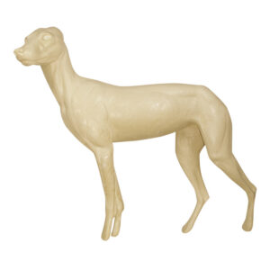 Coyote Walking Head Left