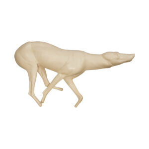 Coyote Running Low Head