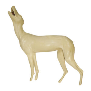 Coyote Howling Left Tilt