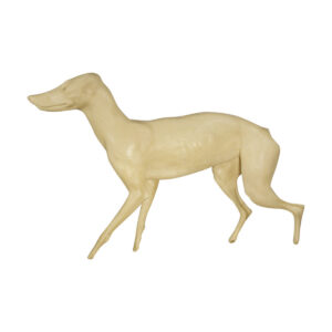 Coyote Trotting