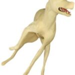 Coyote