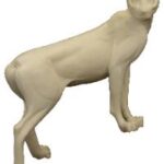 Bobcat