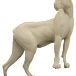 Cougar