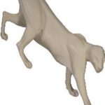 Cougar