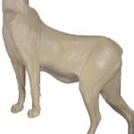 Cougar
