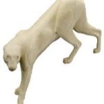 Cougar