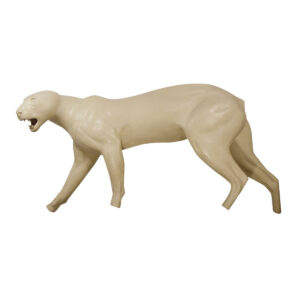 Cougar Walking Forward
