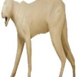 Cougar