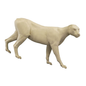 Cougar Walking Slight Lower Front