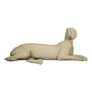 Cougar Laying Down with Kicked Out Back Leg