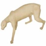Cougar