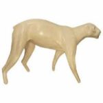 Cougar