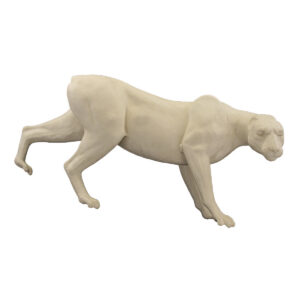 Cougar Front Crouching