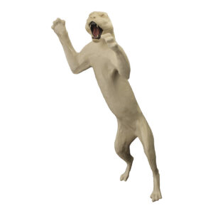 Cougar Jumping For Prey