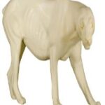 Cougar