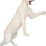 Cougar