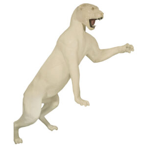 Cougar Striking With Open Mouth