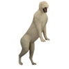 Cougar Stepping High Overlooking - Thumbnail Image 1