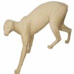 Cougar