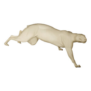 Cougar Stretched Stepping Down