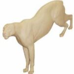 Cougar