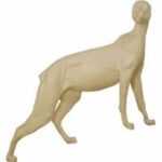 Cougar