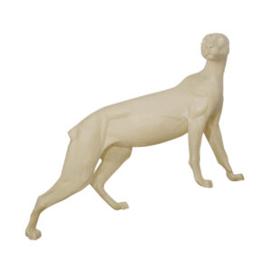 Cougar Uphill Standing Looking Right